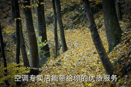 空调专卖店能带给你的优质服务