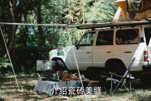 介绍瓷砖美缝