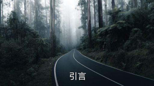 引言