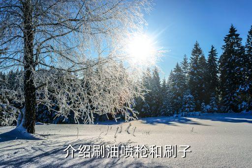介绍刷油喷枪和刷子