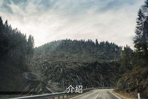 介绍