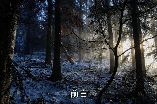 前言