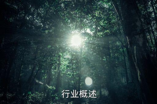 行业概述