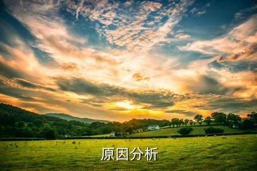 原因分析