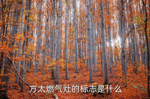 方太燃气灶的标志是什么