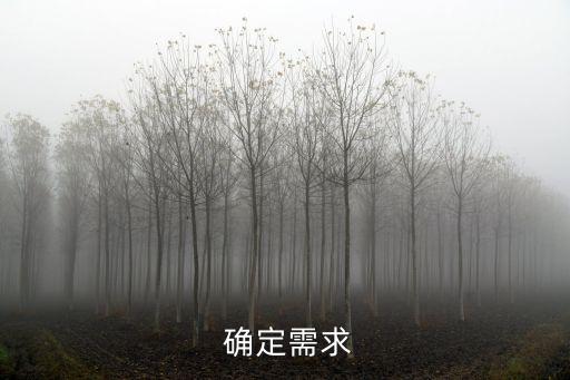 确定需求