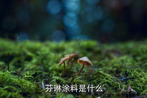 芬琳涂料是什么