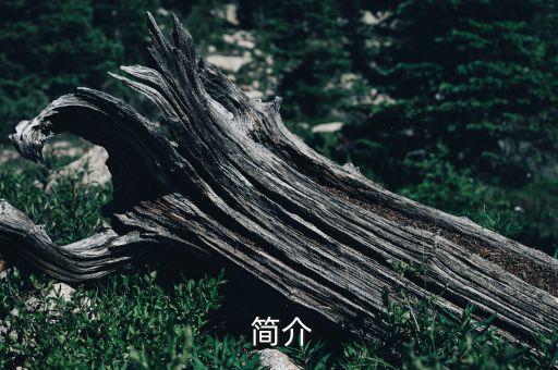 简介