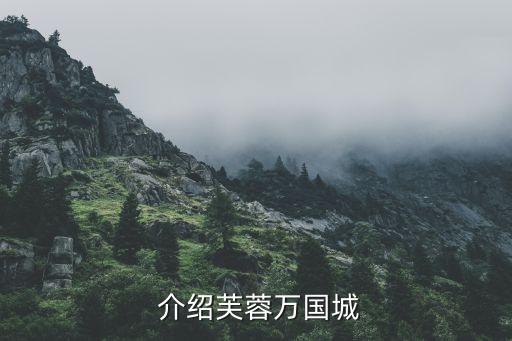 介绍芙蓉万国城