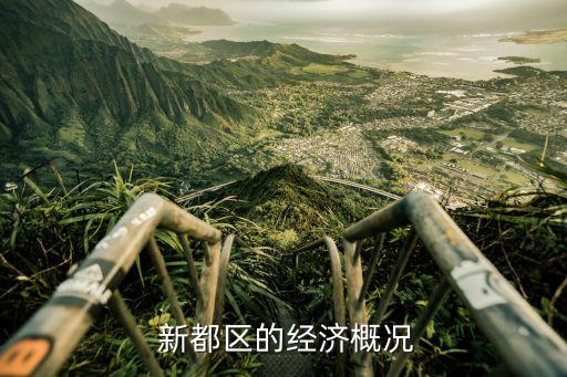 新都区的经济概况