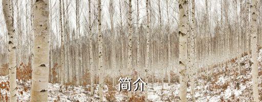 简介