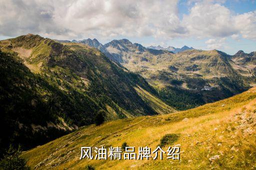 风油精品牌介绍