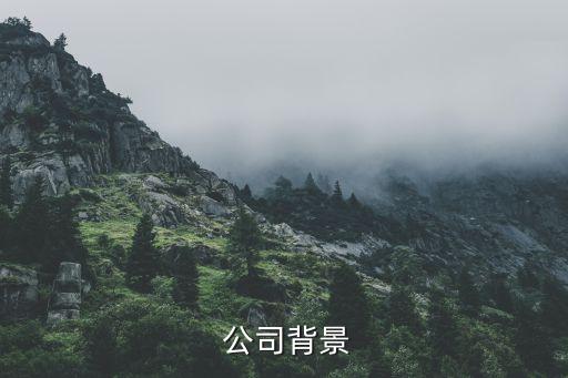 公司背景