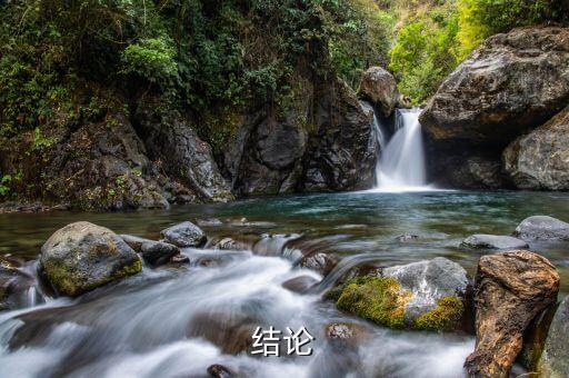 结论