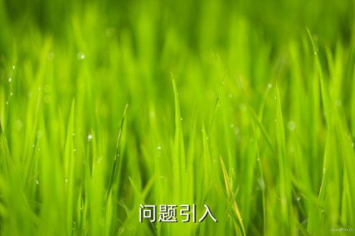 问题引入