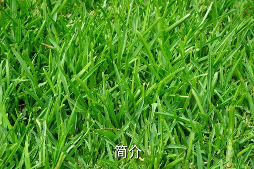简介