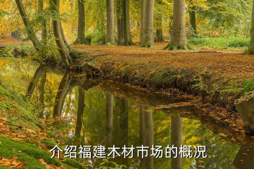 介绍福建木材市场的概况