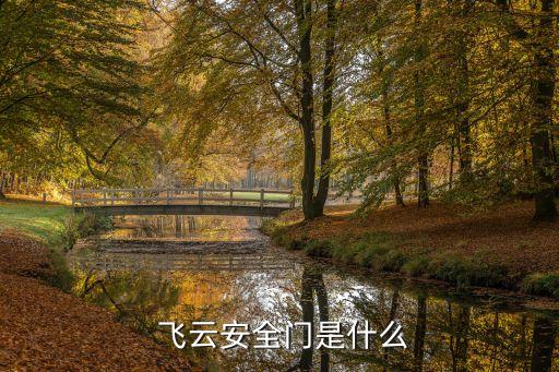 飞云安全门是什么