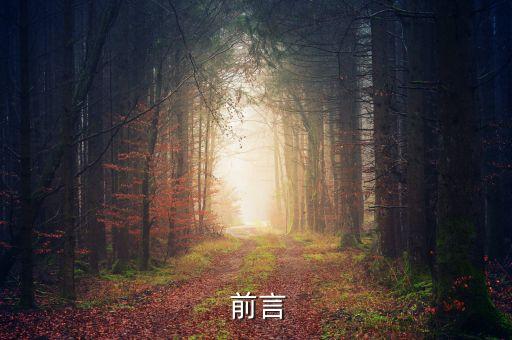 前言