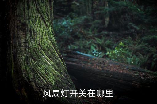 风扇灯开关在哪里