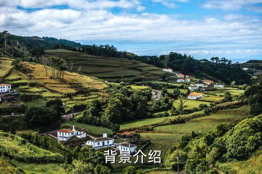 背景介绍