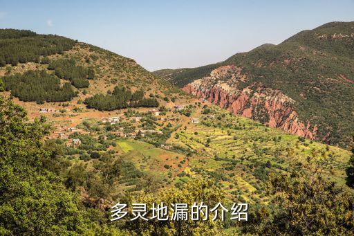 多灵地漏的介绍
