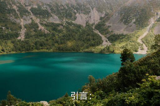引言: