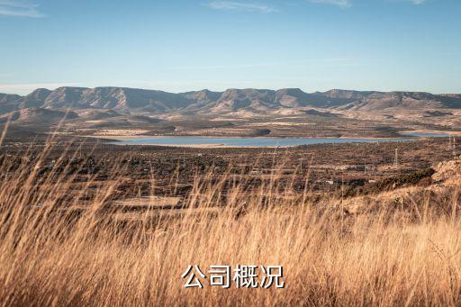 公司概况