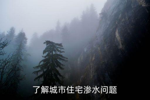 了解城市住宅渗水问题