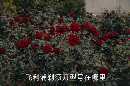 飞利浦剃须刀型号在哪里