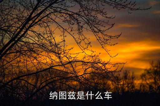 纳图兹是什么车