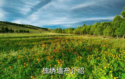 独绣墙布介绍