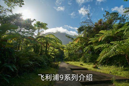 飞利浦9系列介绍