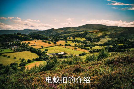 电蚊拍的介绍