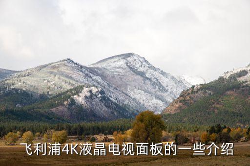 飞利浦4K液晶电视面板的一些介绍