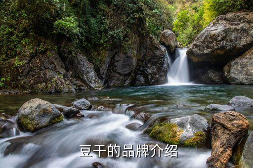 豆干的品牌介绍