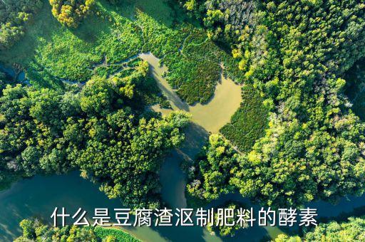 什么是豆腐渣沤制肥料的酵素