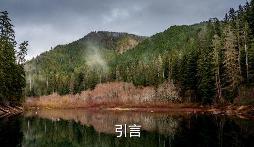引言