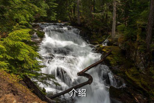 介绍