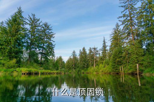 什么是顶固锁