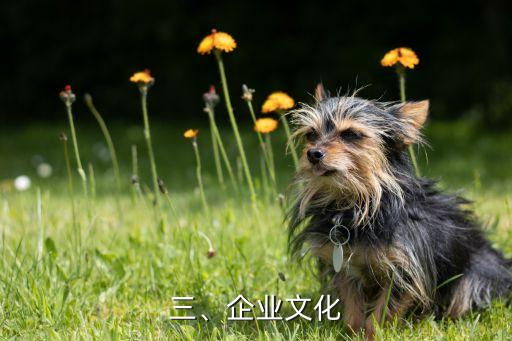 友邦和鸿牌哪个好,友邦与鸿牌哪个更优秀