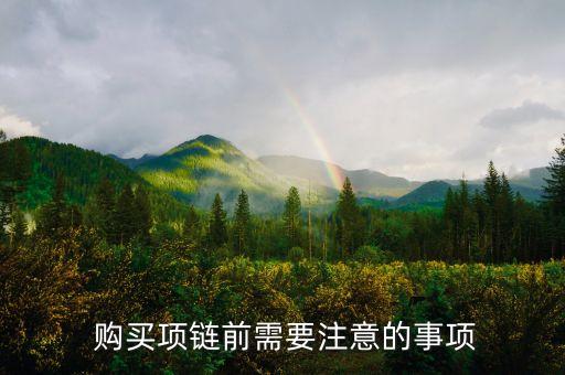 购买项链前需要注意的事项