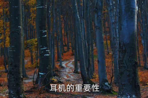 耳机的重要性