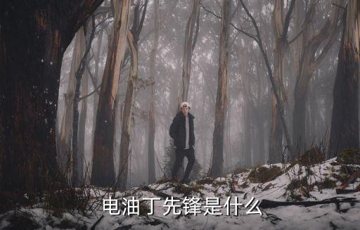 电油丁先锋是什么