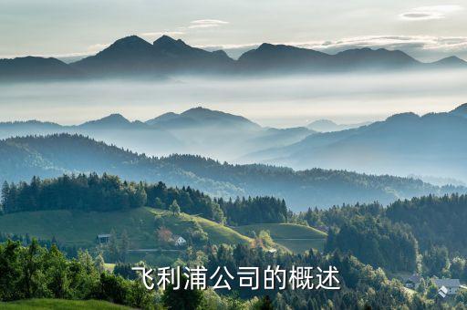 飞利浦公司的概述