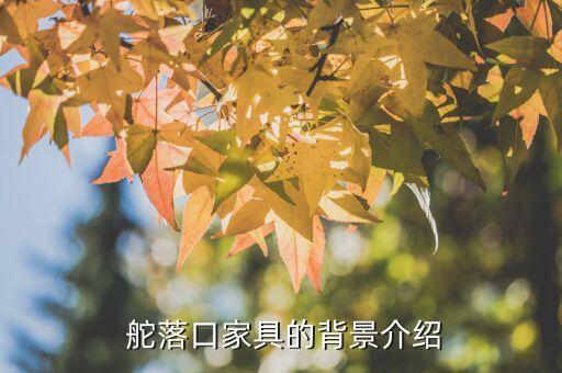 舵落口家具的背景介绍