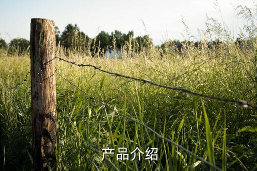 产品介绍