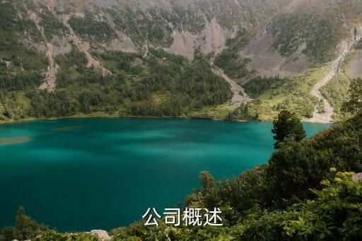 公司概述