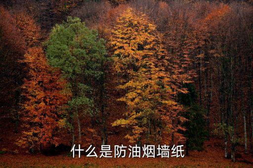 什么是防油烟墙纸
