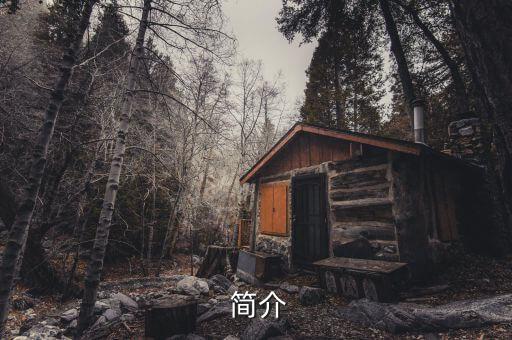 简介